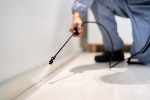 Licensed Rodent Control service in Bath, MI - Nex Pest Control