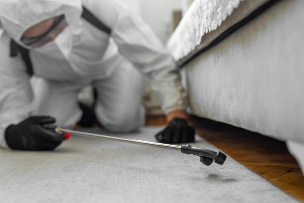 Professional Rodent Control technician working in Bath, MI