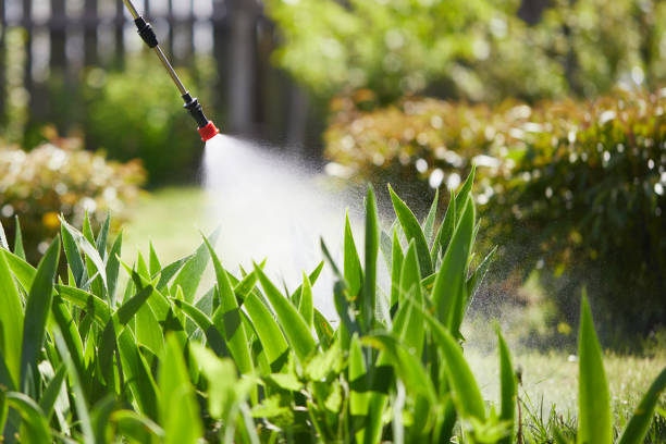 24/7 Emergency Rodent Control experts in Bath, MI