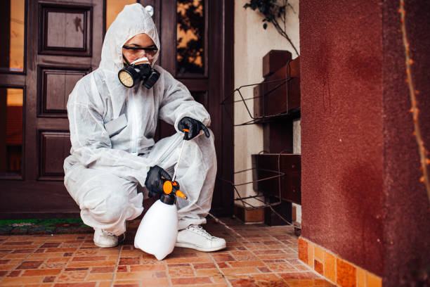 Reliable Rodent Control contractor in Bath, MI by Nex Pest Control