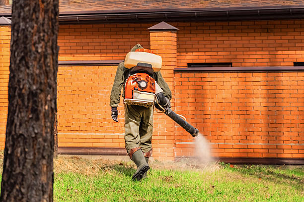 Trusted Rodent Control service in Bath, MI - Nex Pest Control